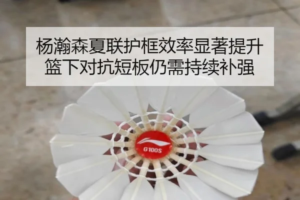 杨瀚森夏联护框效率显著提升 篮下对抗短板仍需持续补强